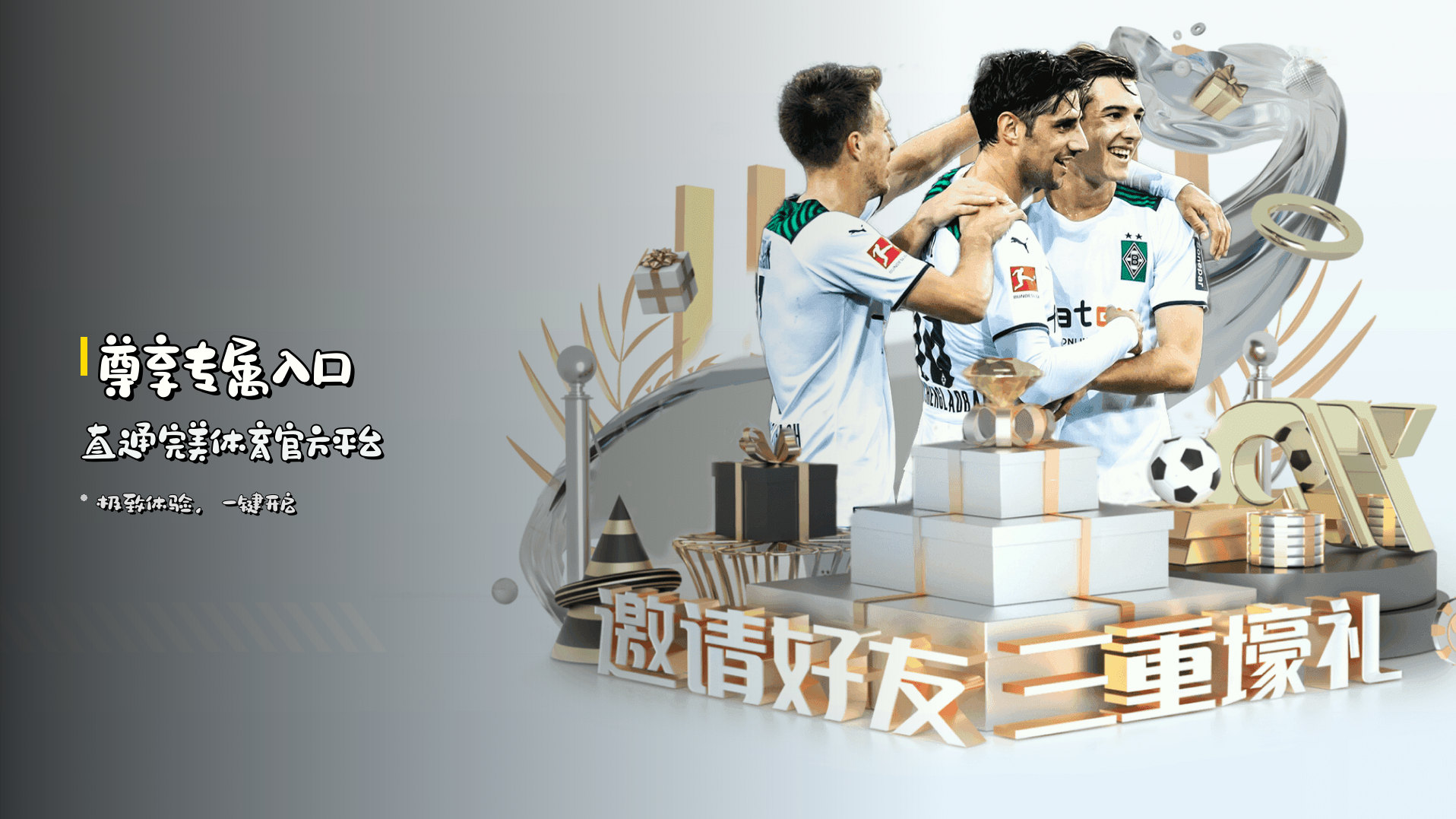 <strong>尊享专属入口</strong> | 直通完美体育官方平台